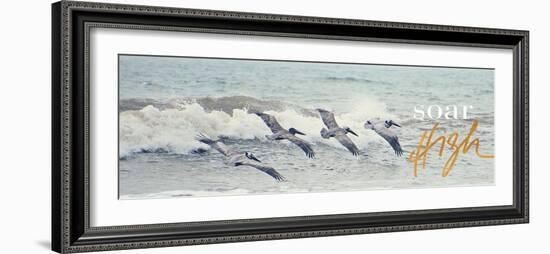 Soar High-Bruce Nawrocke-Framed Photographic Print