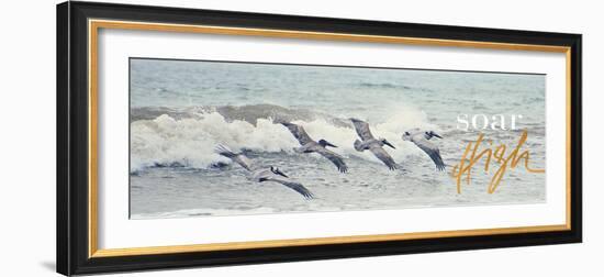 Soar High-Bruce Nawrocke-Framed Photographic Print