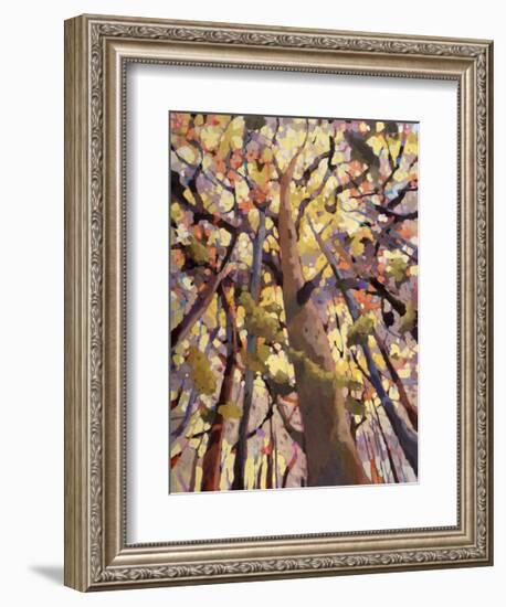 Soar!-Jean Cauthen-Framed Giclee Print