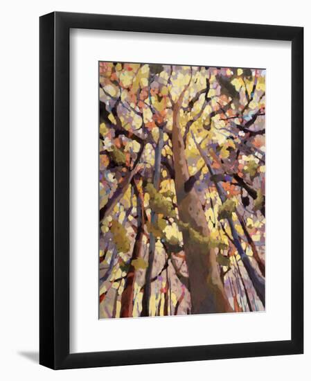 Soar!-Jean Cauthen-Framed Art Print