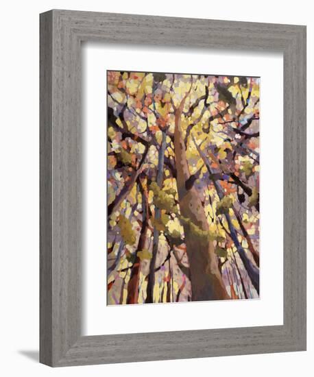 Soar!-Jean Cauthen-Framed Art Print