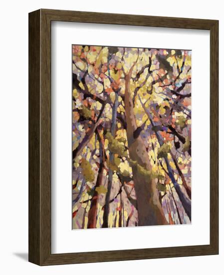 Soar!-Jean Cauthen-Framed Art Print