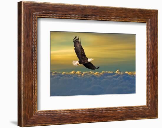 Soarin'-null-Framed Premium Giclee Print