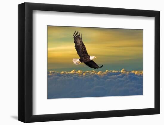 Soarin'-null-Framed Premium Giclee Print