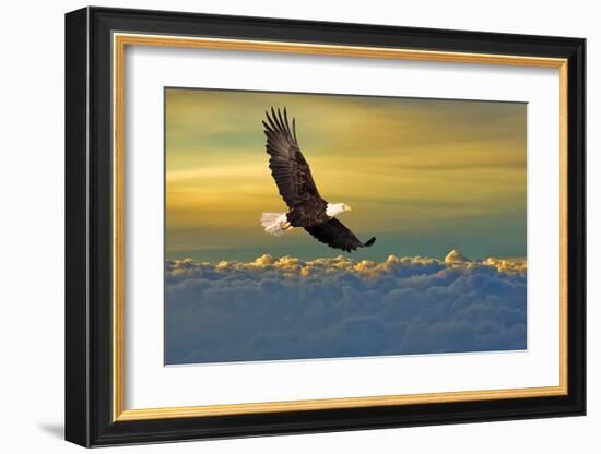 Soarin'-null-Framed Art Print