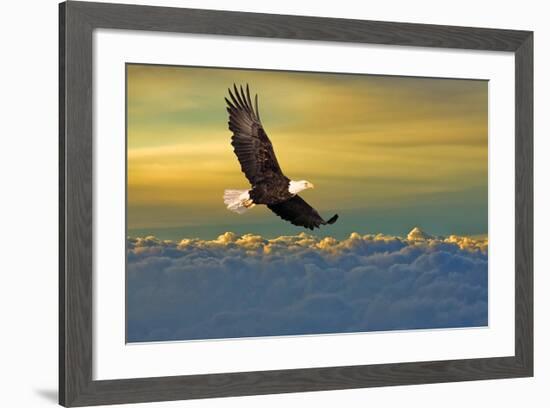 Soarin'--Framed Art Print