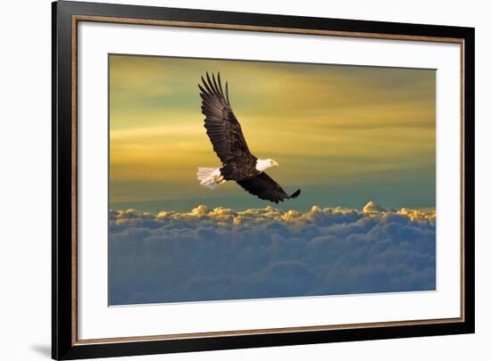 Soarin'-null-Framed Art Print