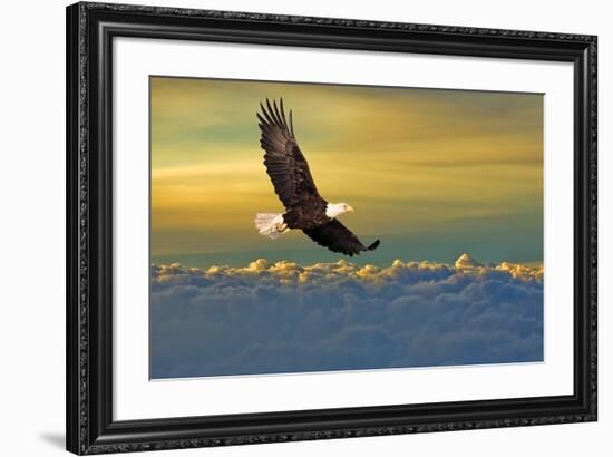 Soarin'-null-Framed Art Print