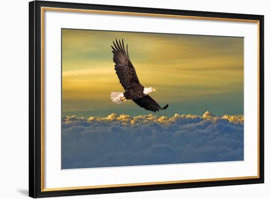 Soarin'-null-Framed Art Print