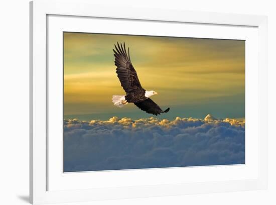 Soarin'-null-Framed Art Print