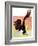 "Soaring Bald Eagle,"October 28, 1933-Jack Murray-Framed Giclee Print