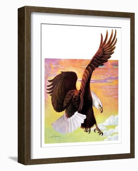 "Soaring Bald Eagle,"October 28, 1933-Jack Murray-Framed Giclee Print