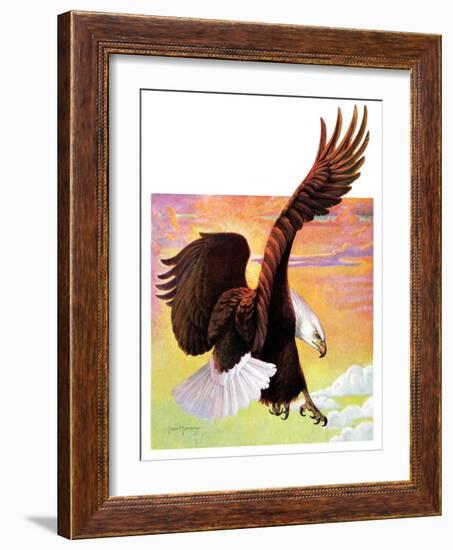 "Soaring Bald Eagle,"October 28, 1933-Jack Murray-Framed Giclee Print