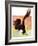 "Soaring Bald Eagle,"October 28, 1933-Jack Murray-Framed Giclee Print