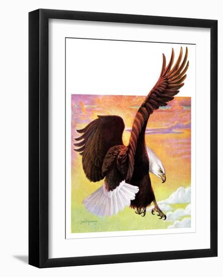 "Soaring Bald Eagle,"October 28, 1933-Jack Murray-Framed Giclee Print