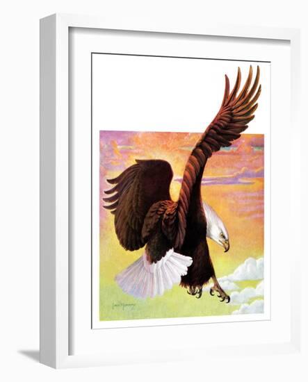 "Soaring Bald Eagle,"October 28, 1933-Jack Murray-Framed Giclee Print