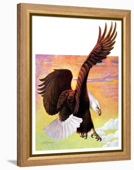 "Soaring Bald Eagle,"October 28, 1933-Jack Murray-Framed Premier Image Canvas