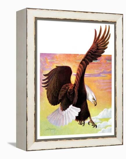 "Soaring Bald Eagle,"October 28, 1933-Jack Murray-Framed Premier Image Canvas