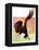 "Soaring Bald Eagle,"October 28, 1933-Jack Murray-Framed Premier Image Canvas