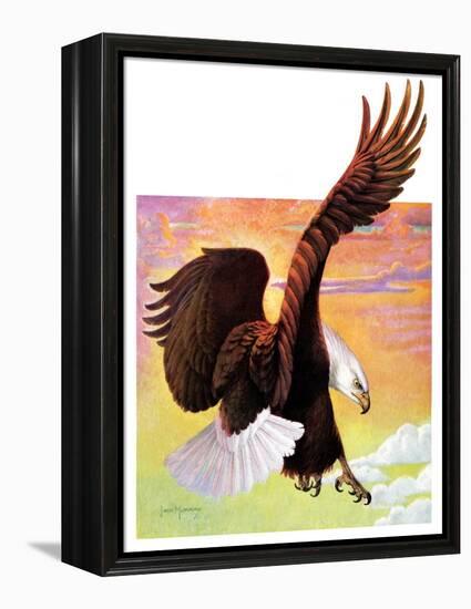 "Soaring Bald Eagle,"October 28, 1933-Jack Murray-Framed Premier Image Canvas