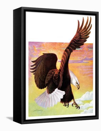 "Soaring Bald Eagle,"October 28, 1933-Jack Murray-Framed Premier Image Canvas