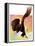 "Soaring Bald Eagle,"October 28, 1933-Jack Murray-Framed Premier Image Canvas