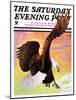 "Soaring Bald Eagle," Saturday Evening Post Cover, October 28, 1933-Jack Murray-Mounted Giclee Print