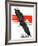 "Soaring Eagle,"March 22, 1924-Charles Bull-Framed Giclee Print