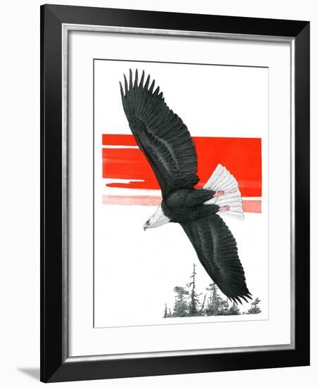 "Soaring Eagle,"March 22, 1924-Charles Bull-Framed Giclee Print