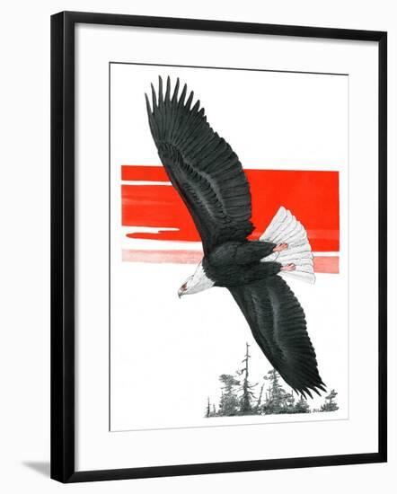 "Soaring Eagle,"March 22, 1924-Charles Bull-Framed Giclee Print