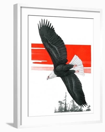 "Soaring Eagle,"March 22, 1924-Charles Bull-Framed Giclee Print