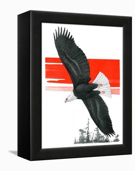 "Soaring Eagle,"March 22, 1924-Charles Bull-Framed Premier Image Canvas