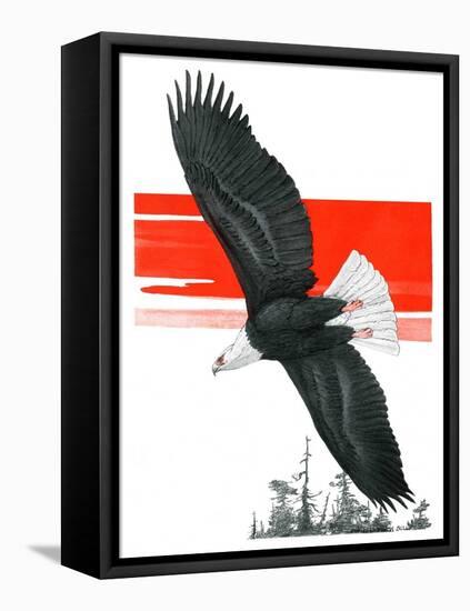 "Soaring Eagle,"March 22, 1924-Charles Bull-Framed Premier Image Canvas