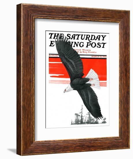 "Soaring Eagle," Saturday Evening Post Cover, March 22, 1924-Charles Bull-Framed Giclee Print