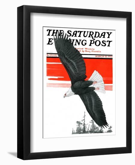 "Soaring Eagle," Saturday Evening Post Cover, March 22, 1924-Charles Bull-Framed Giclee Print