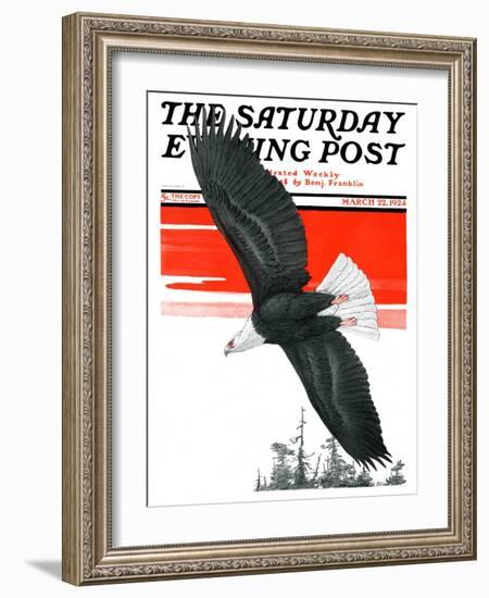 "Soaring Eagle," Saturday Evening Post Cover, March 22, 1924-Charles Bull-Framed Giclee Print