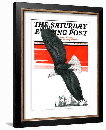 "Soaring Eagle," Saturday Evening Post Cover, March 22, 1924-Charles Bull-Framed Giclee Print