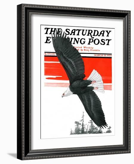 "Soaring Eagle," Saturday Evening Post Cover, March 22, 1924-Charles Bull-Framed Giclee Print