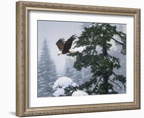 Soaring Eagle-William Vanderdasson-Framed Giclee Print