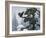 Soaring Eagle-William Vanderdasson-Framed Giclee Print