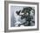 Soaring Eagle-William Vanderdasson-Framed Giclee Print