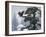 Soaring Eagle-William Vanderdasson-Framed Giclee Print