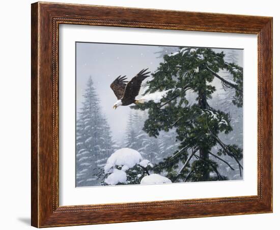 Soaring Eagle-William Vanderdasson-Framed Giclee Print