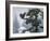 Soaring Eagle-William Vanderdasson-Framed Giclee Print