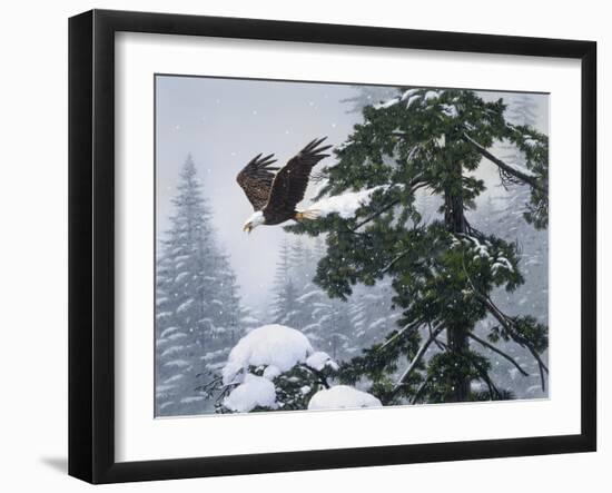 Soaring Eagle-William Vanderdasson-Framed Giclee Print
