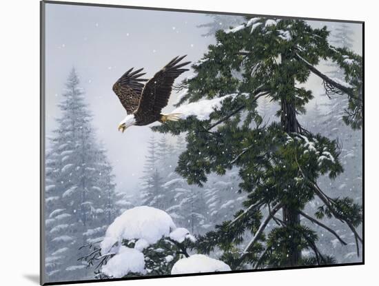 Soaring Eagle-William Vanderdasson-Mounted Giclee Print
