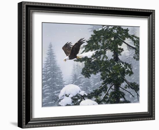 Soaring Eagle-William Vanderdasson-Framed Giclee Print