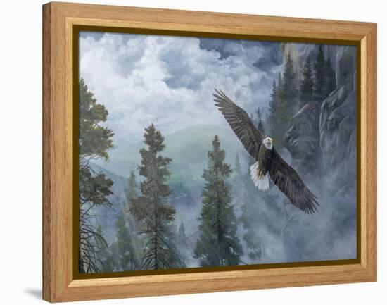 Soaring High II-B. Lynnsy-Framed Stretched Canvas