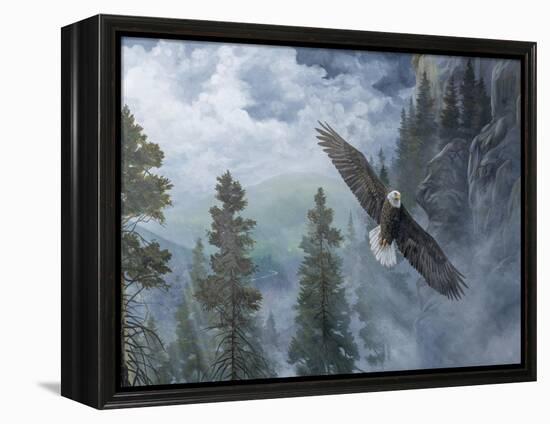 Soaring High II-B. Lynnsy-Framed Stretched Canvas