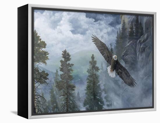 Soaring High II-B. Lynnsy-Framed Stretched Canvas